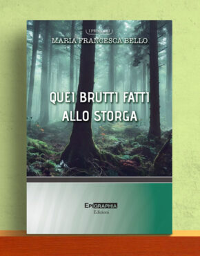 copertina-libro-Que-brutti-fatti-allo-Storgai-di-Maria-Francesca-Bello