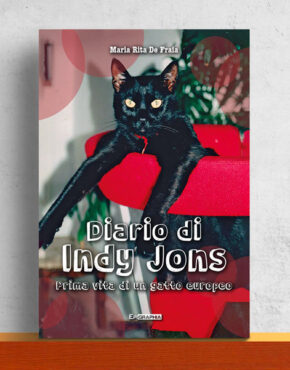 Copertina-Libro-Diario-di-Indy-Jons-di-Maria-Rita-de-Fraia