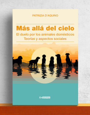 Copertina-Libro-Mas-alla-del-cielo-di-Patrizia-D-Aquino